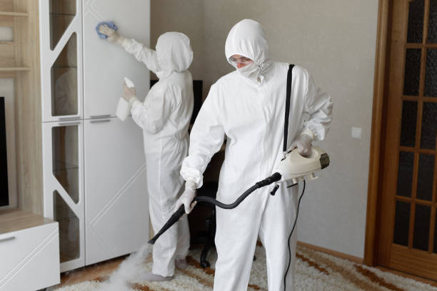 Affordable Sewage Cleanup solutions in New Boston, OH